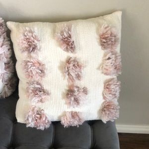 Accent pillows- set of 2